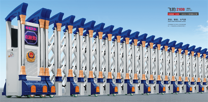 【紅建星】-飛豹系列